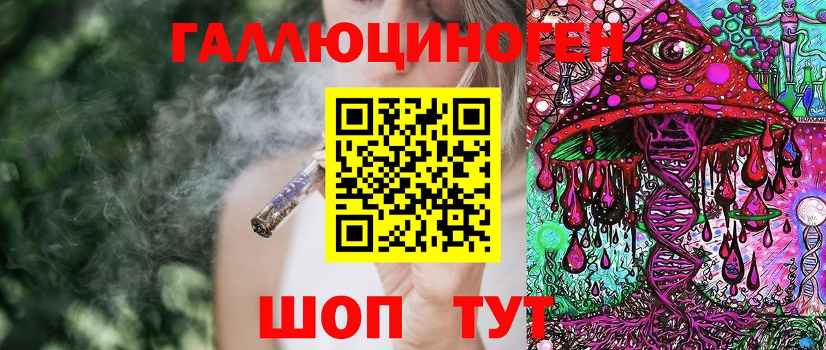 Вышний Волочёк  Галлюциногенные грибы MAGIC MUSHROOMS  Вход с VPN  Псилоцибиновые грибы мухоморы 
